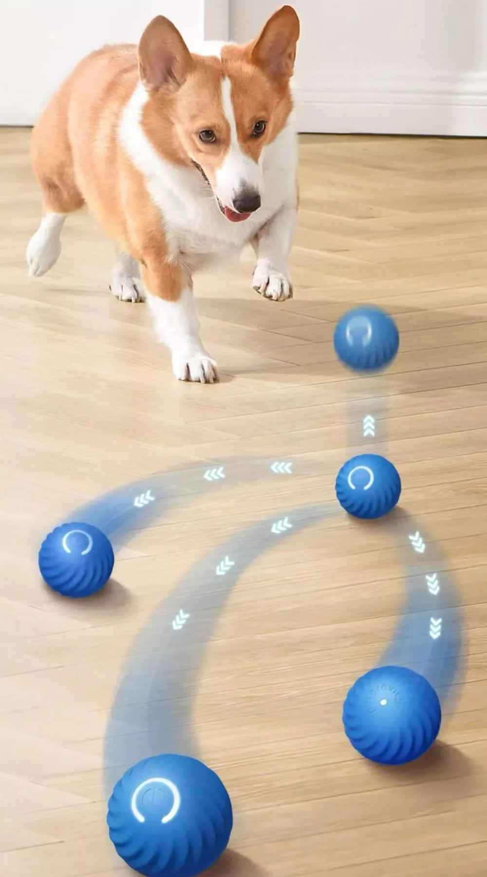 Pet Toy Ball Automatic Moving Dog Toy Ball