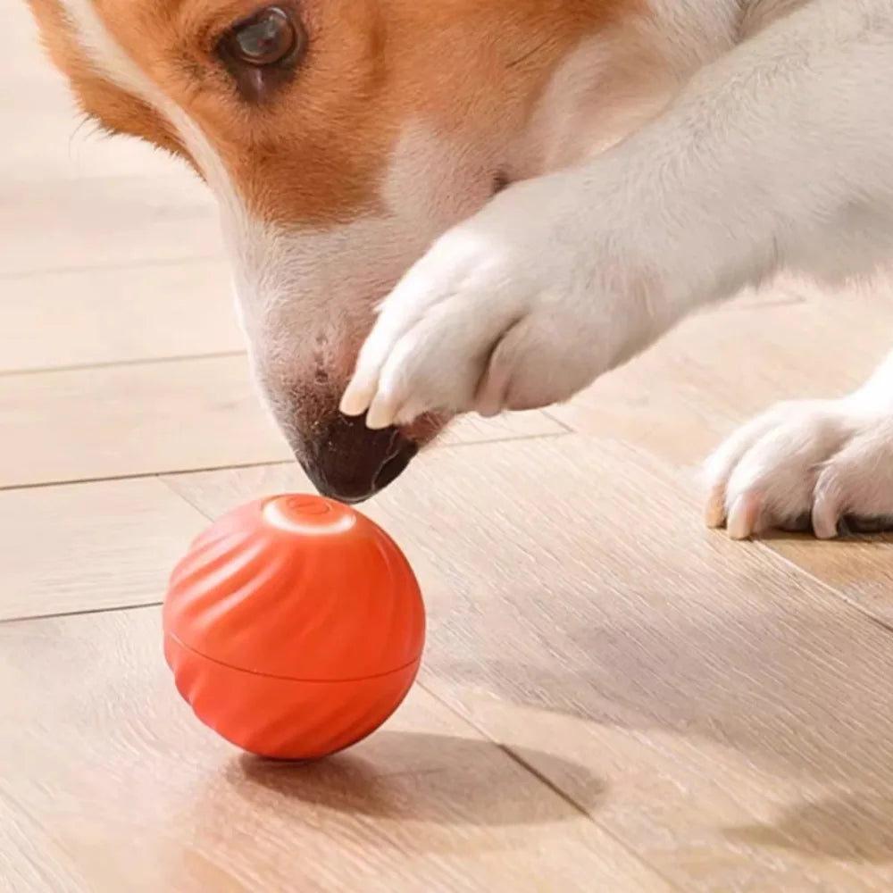 Pet Toy Ball Automatic Moving Dog Toy Ball