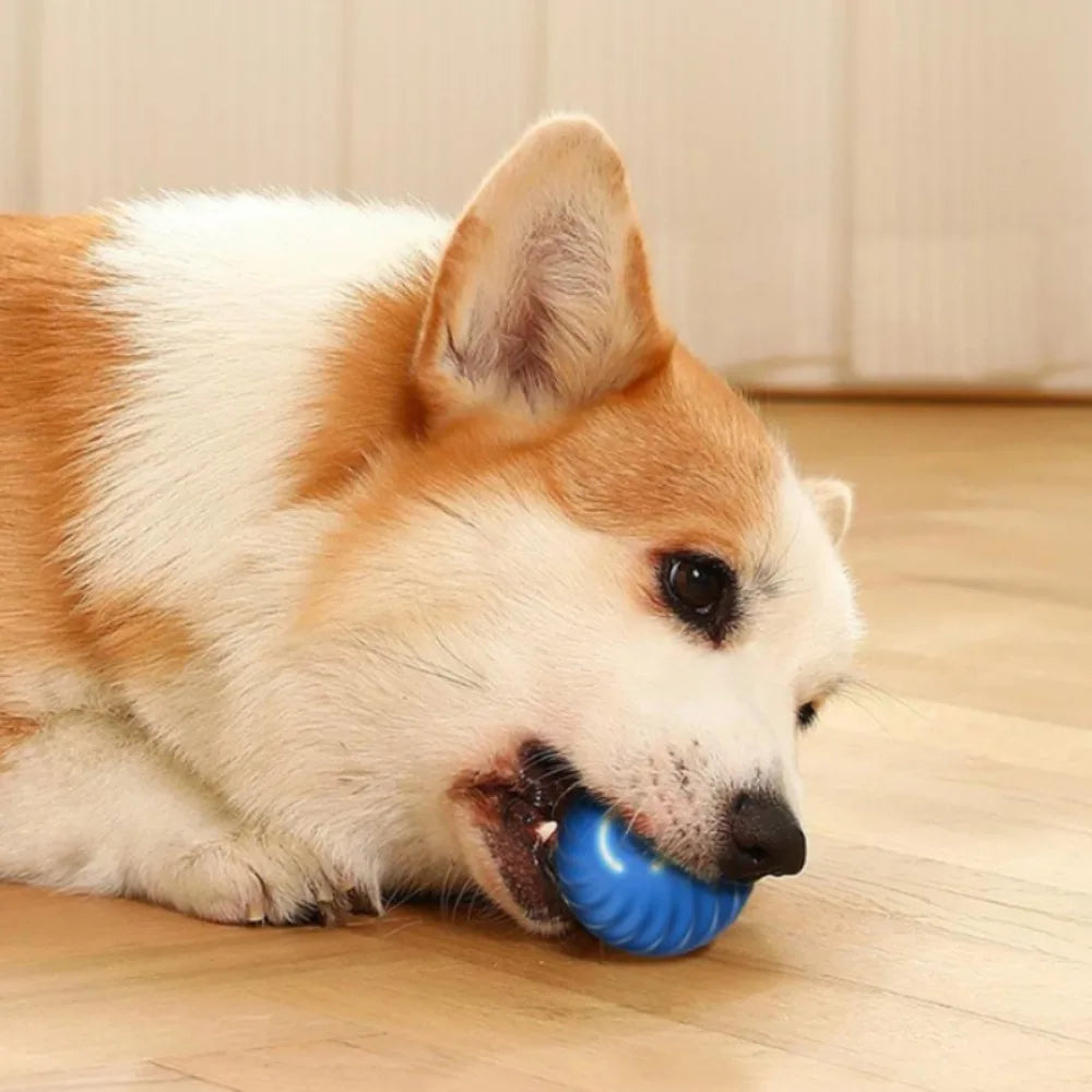 Pet Toy Ball Automatic Moving Dog Toy Ball