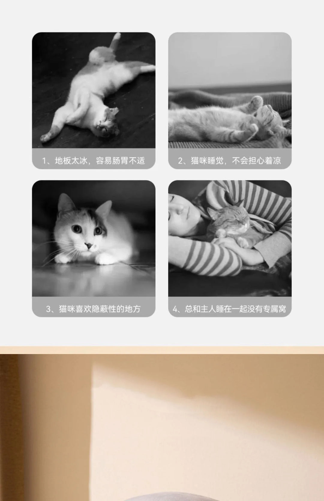 Four Seasons Universal Cat Litter Cat Cradle