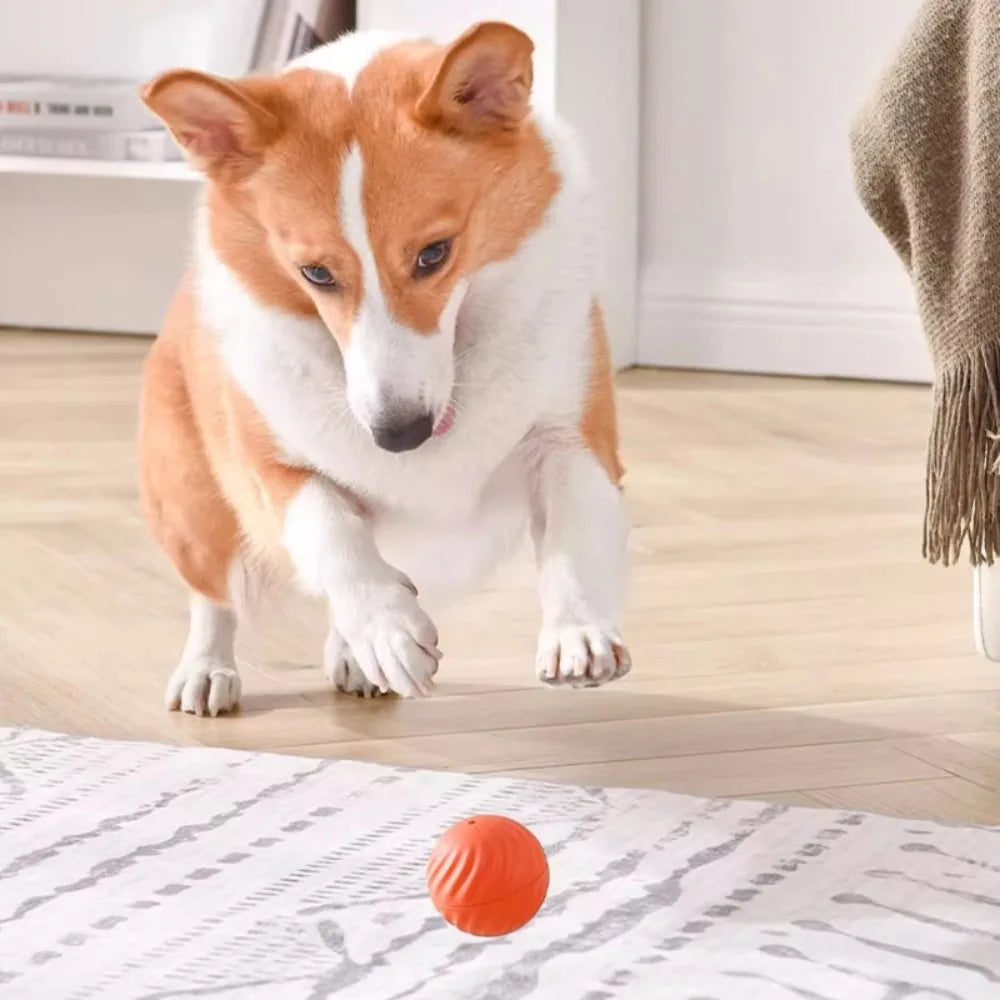 Pet Toy Ball Automatic Moving Dog Toy Ball