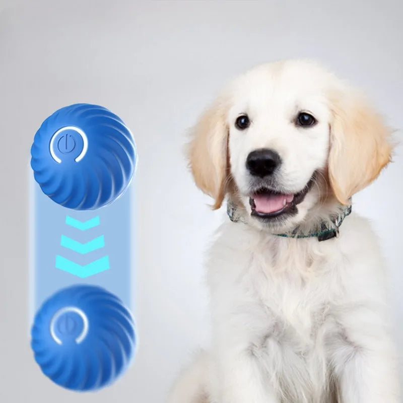 Pet Toy Ball Automatic Moving Dog Toy Ball